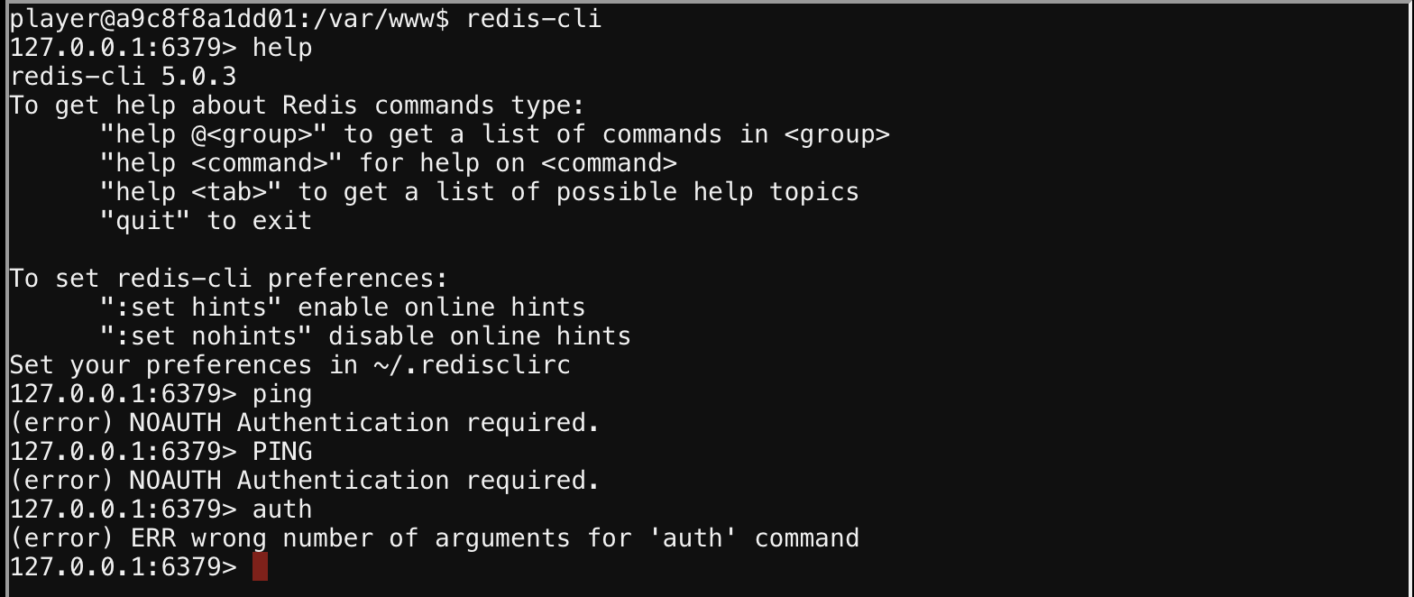 Task: Redis Bughunt - Cyber Security Notebook